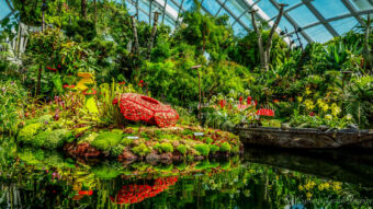 The Flower Dome