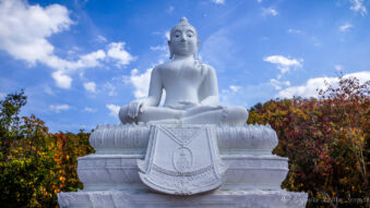 The White Buddha on the Hill